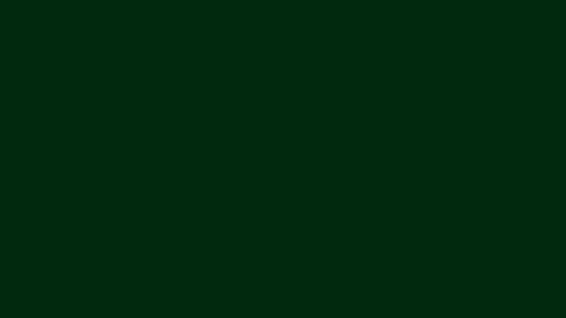 Circunis.ch – flint.to