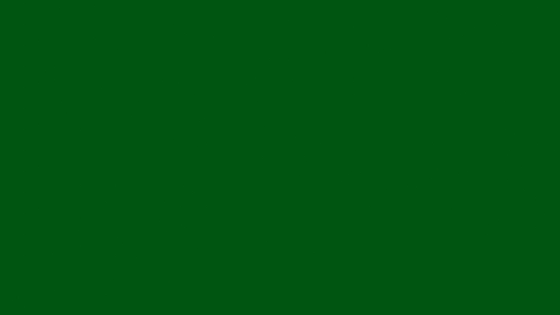 Circunis.ch – flint.to